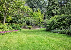 Optimiser l'expérience du jardin à Cessenon-sur-Orb